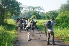 Cambodia Bird Watching & Nature 6 Days / 5 Nights