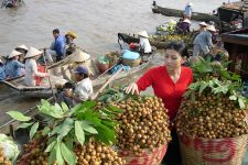 Essence Of Vietnam and Laos