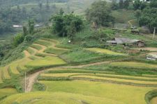 Sapa Mountain Retreat 5 Days / 4 Nights