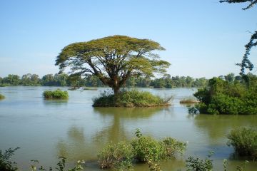 Highlights of Laos 8 Days