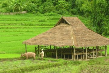 Kamu Lodge Experience 2 Days 1 Night