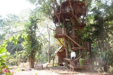 Tree Top Living Chiang Mai 3 Days / 2 nights