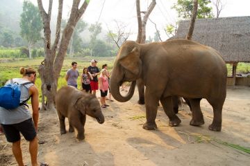 Chiang Dao Retreat & Lahu Way of Life 3 Days / 2 Nights