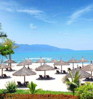 Luxury Tours