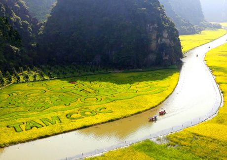 Esenciales De Vietnam