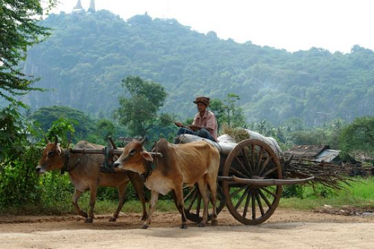 Battambang, a quiet rough gem hidden in the heart of Cambodia