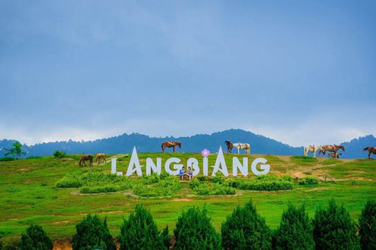 Discover Da Lat: Vietnam’s Enchanting City of Eternal Spring