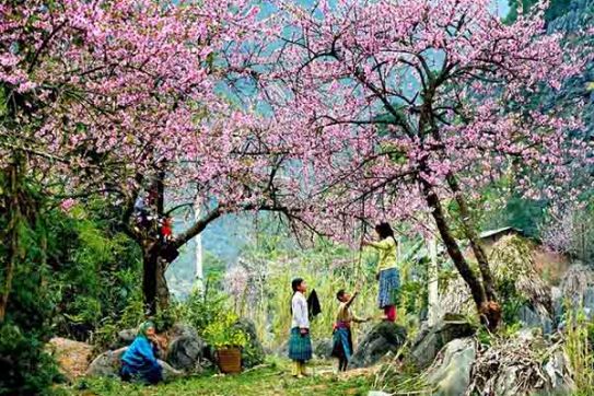 Ha Giang: A Must-Visit Destination for Adventure Seekers in Vietnam