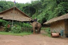 Live Like Mahout Tour 2 Days