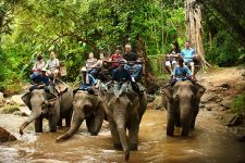 Tailandia – Tour Hip y Chic