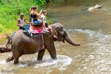 Salpicando el Songkran