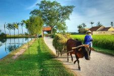 Experiencia rural en Ky Son Lodge