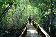 Parque Nacional Cat Tien