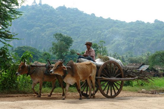 Battambang Rural