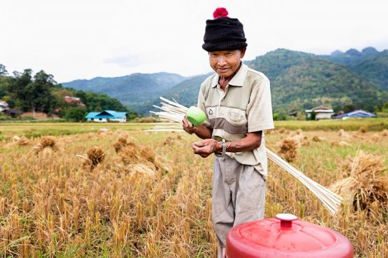 Chiang Mai, Chiang Rai y el Triángulo de Oro