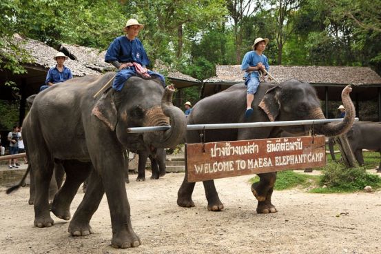 Chiang Mai y el Desconocido Noroeste