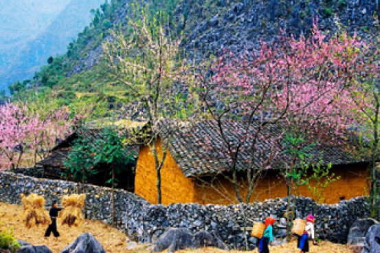 Las Místicas Montañas del Norte de Vietnam