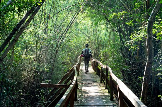 Parque Nacional Cat Tien