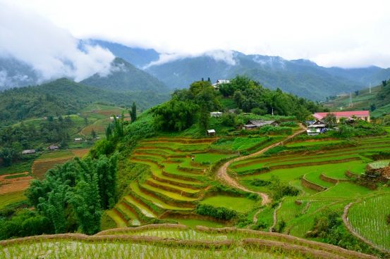 Absolute Vietnam Tour 21 Days 20 Nights