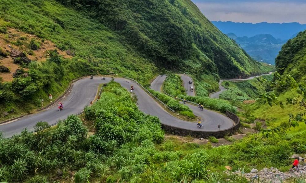 ha-giang-buckwheat-flower-season