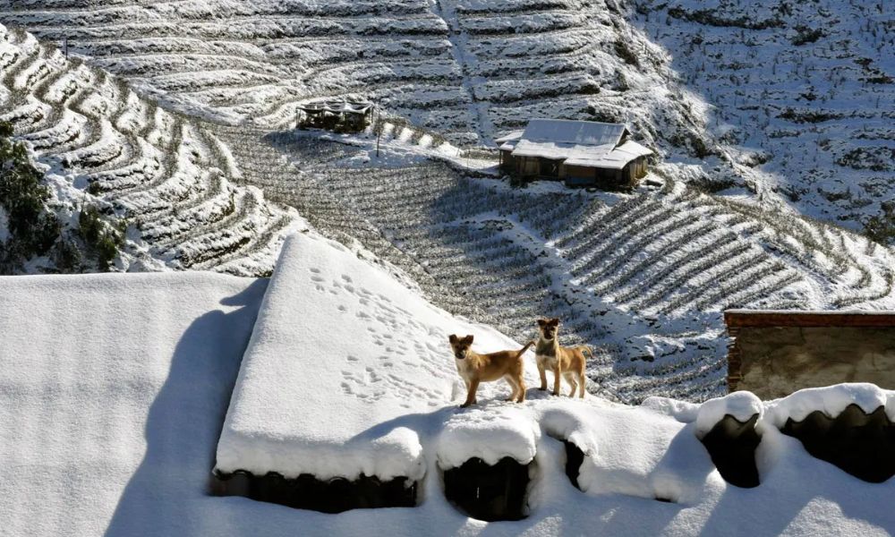 northern-vietnam-winter-snow-cloud-hunting-guide