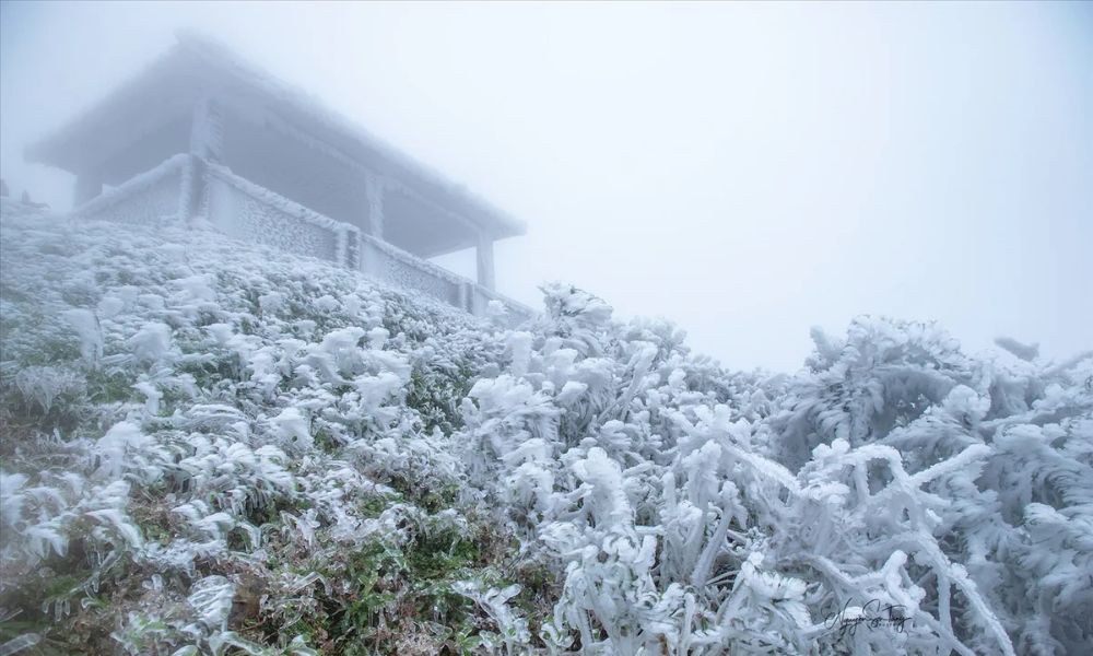 northern-vietnam-winter-snow-cloud-hunting-guide