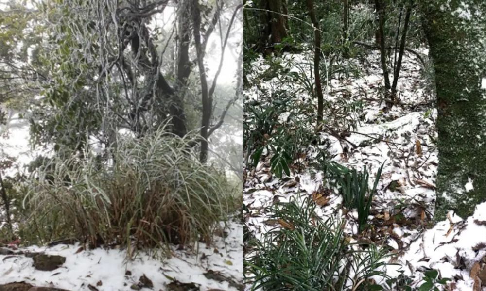 northern-vietnam-winter-snow-cloud-hunting-guide