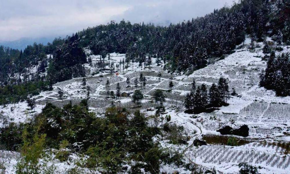 northern-vietnam-winter-snow-cloud-hunting-guide