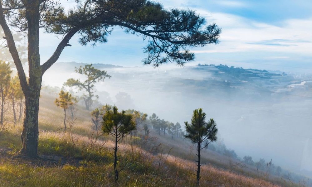 top-destinations-vietnam-international-travelers