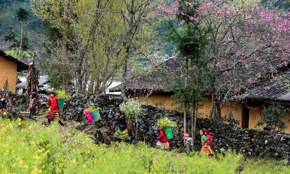 top-destinations-vietnam-international-travelers